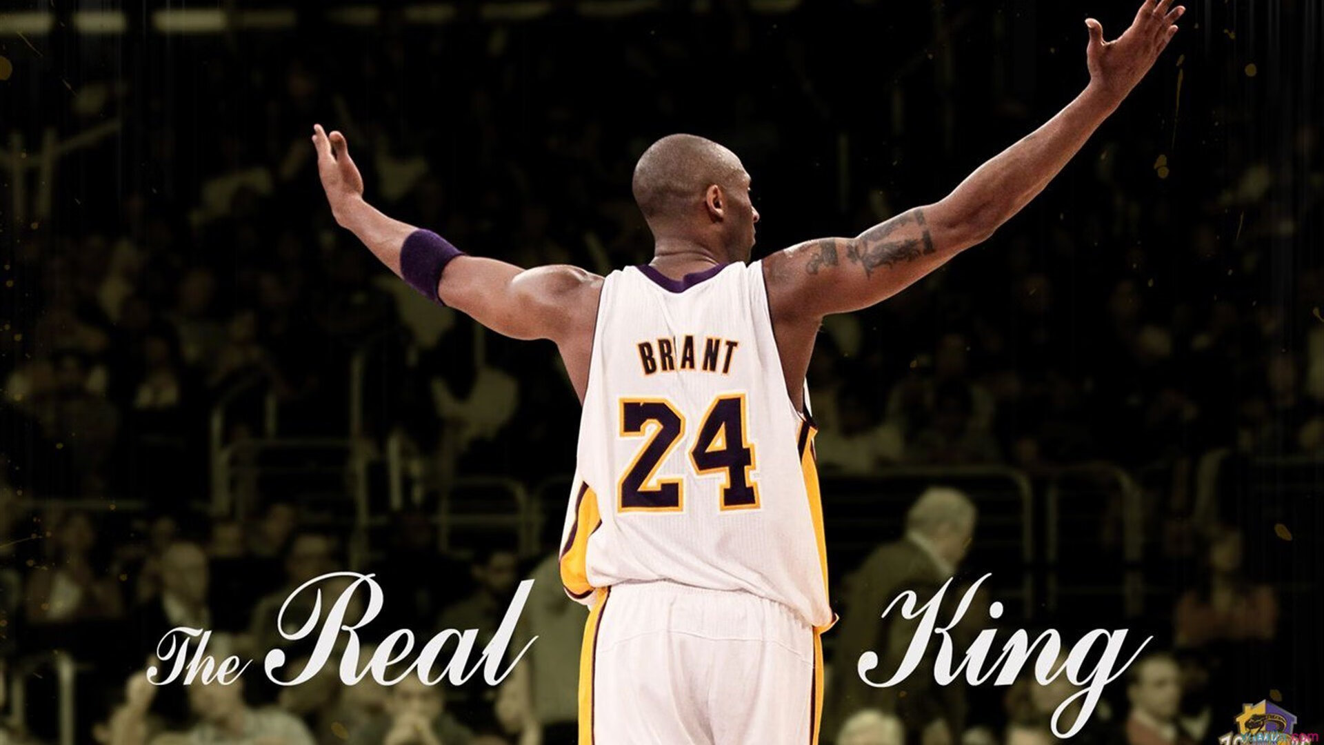 上海队对阵雄鹿，戈贝尔压力下完成爆发